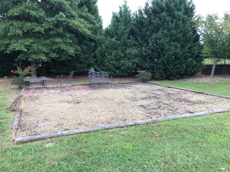 Empty yard with benches and trees